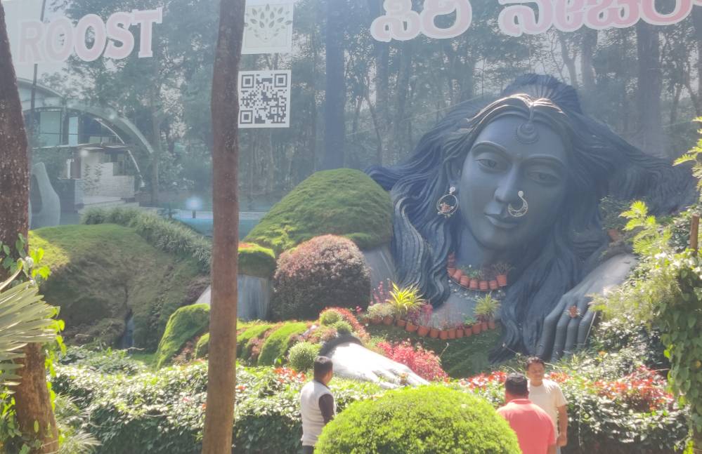 Chikkamagaluru coffee plantation view