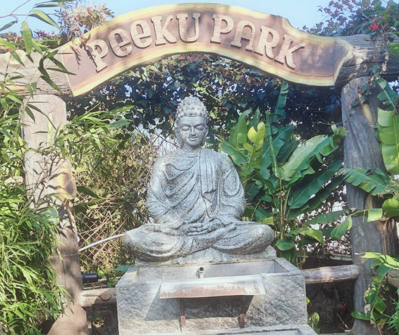 Yercaud hill station tourist place